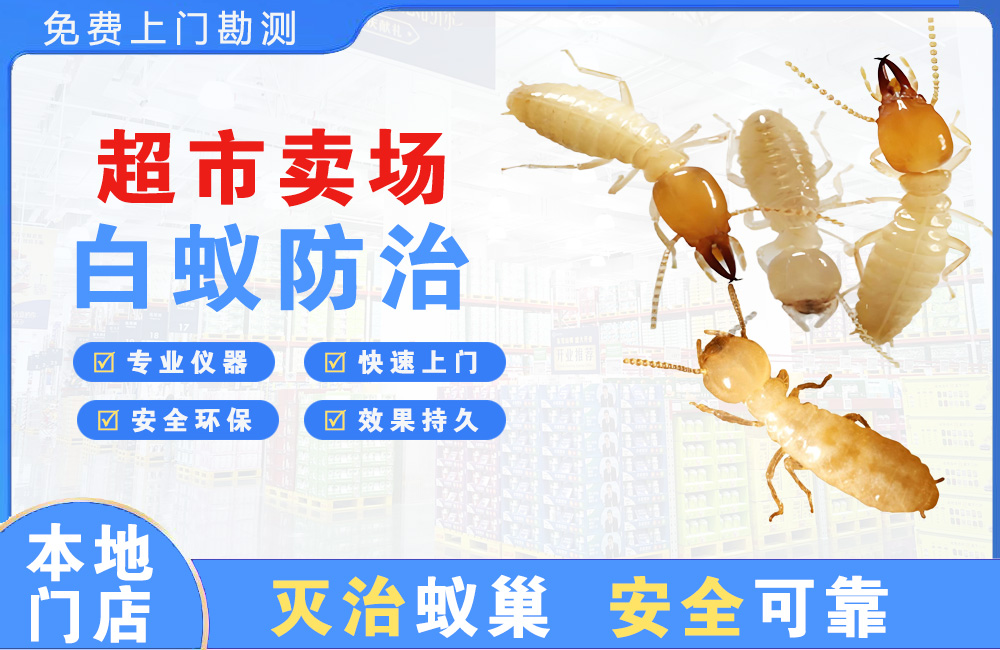 永州超市卖场白蚁防治