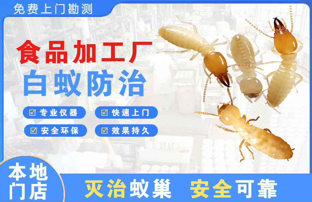 永州食品加工厂白蚁防治
