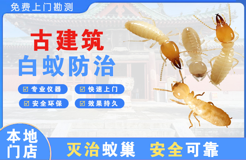永州古建筑白蚁防治
