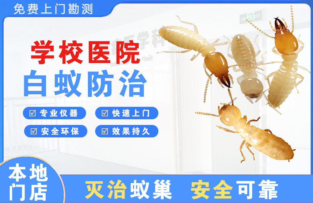 永州学校医院白蚁防治